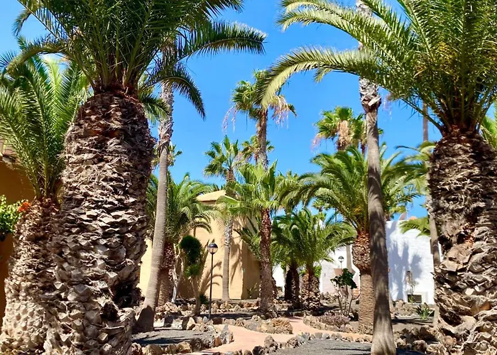 Vv Blanca Del Sol Oasis Duna Appartamento *